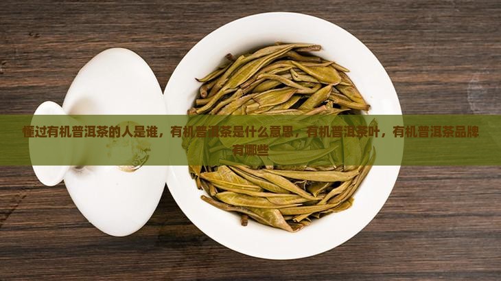 懂过有机普洱茶的人是谁