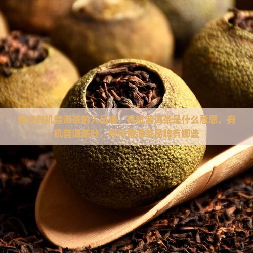 懂过有机普洱茶的人是谁