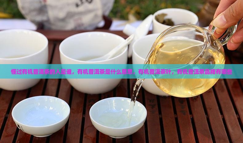 懂过有机普洱茶的人是谁