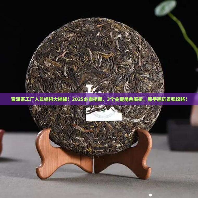 普洱茶工厂的人员结构
