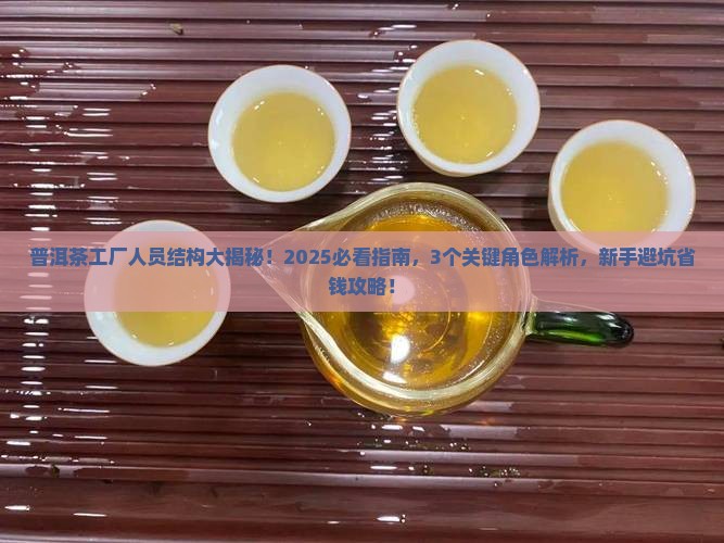 普洱茶工厂的人员结构