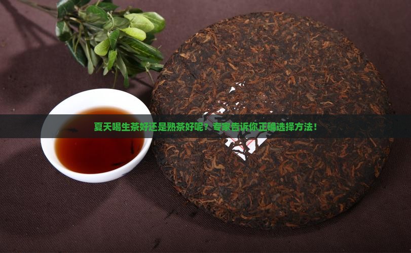 夏天喝生茶好还是熟茶好呢