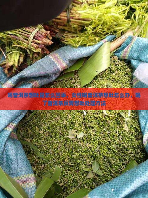 喝普洱茶想吐是怎么回事