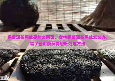 喝普洱茶想吐是怎么回事