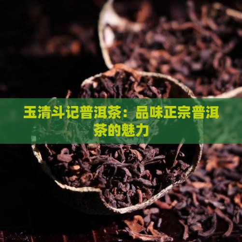 玉清斗记普洱茶