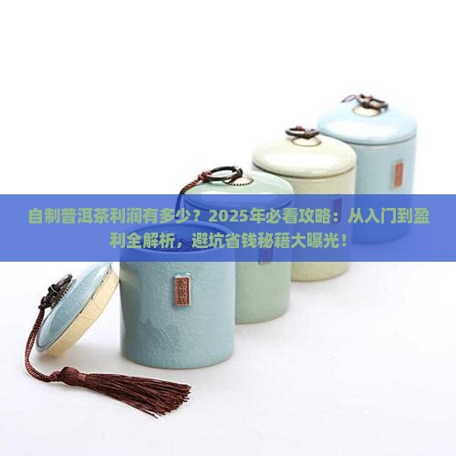 自制普洱茶的利润是多少