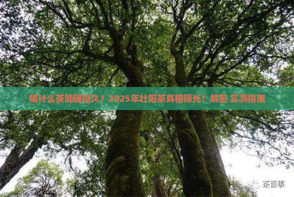 喝什么茶可以壮阳时间长