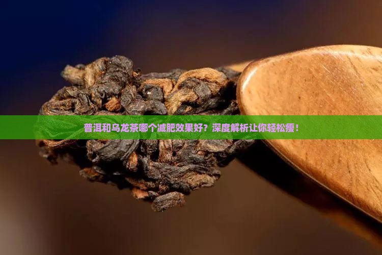 普洱和乌龙茶哪个减肥效果好