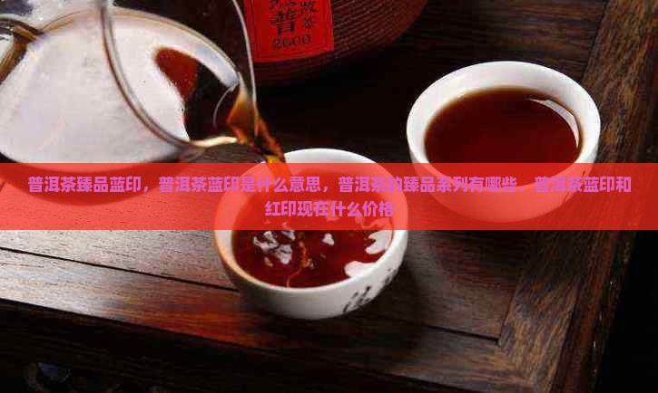 普洱茶臻品蓝印