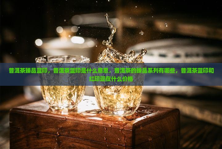 普洱茶臻品蓝印