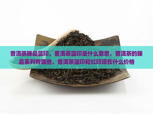普洱茶臻品蓝印
