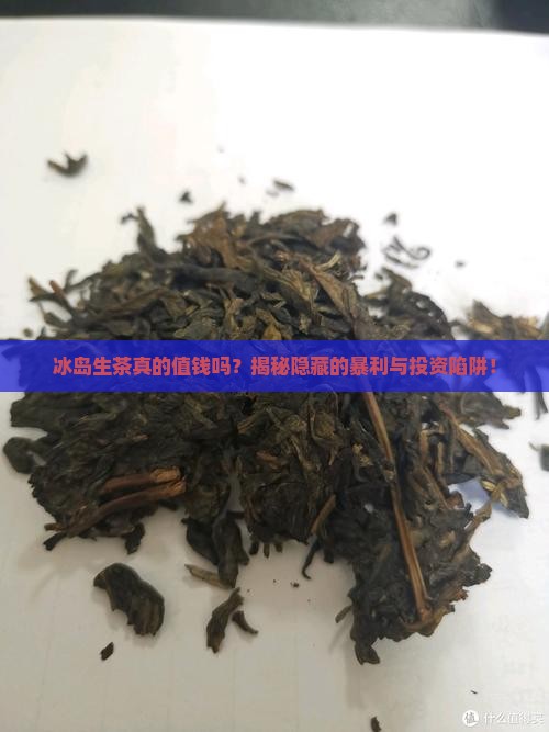 冰岛生茶的价值