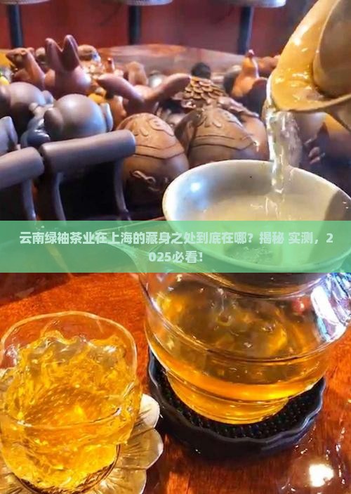 云南绿袖茶业有限在上海地址 云南绿袖茶业有限在上海地址