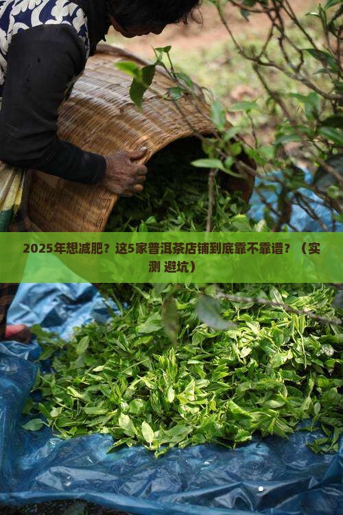 普洱茶减肥推荐店铺有哪些