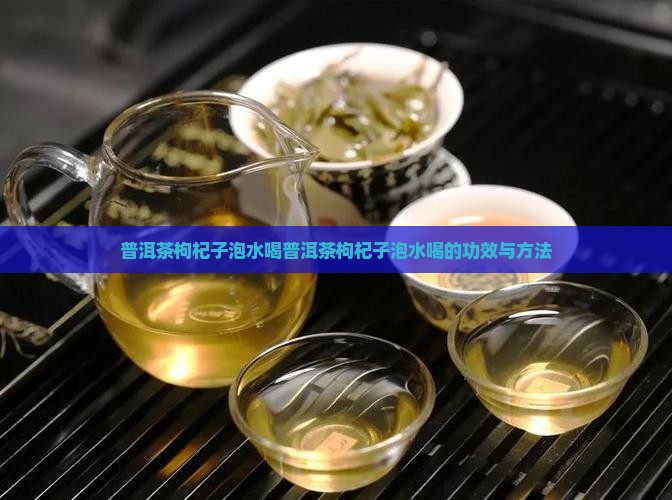 普洱茶枸杞子泡水喝