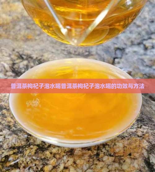 普洱茶枸杞子泡水喝