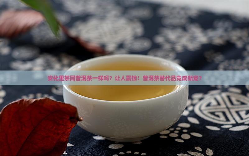 安化里茶同普洱茶一样吗