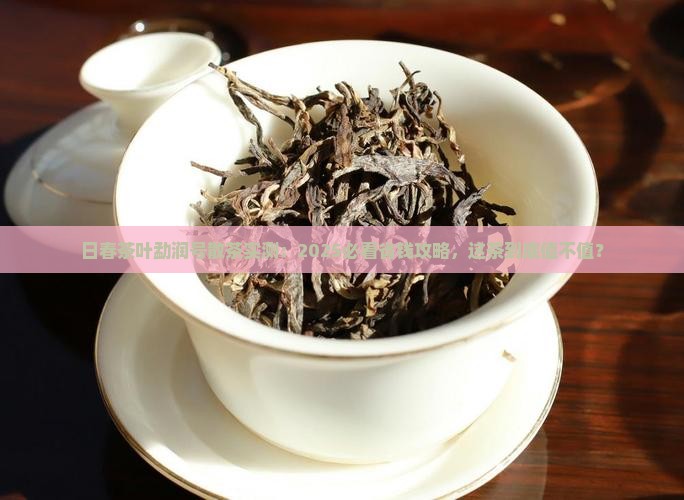 日春茶叶勐润号散茶