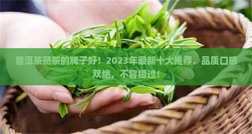 普洱茶熟茶最的牌子好
