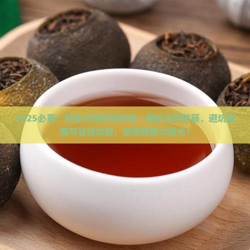 野生红茶似锦年华