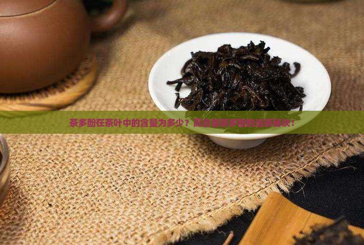 茶多酚在茶叶中的含量为