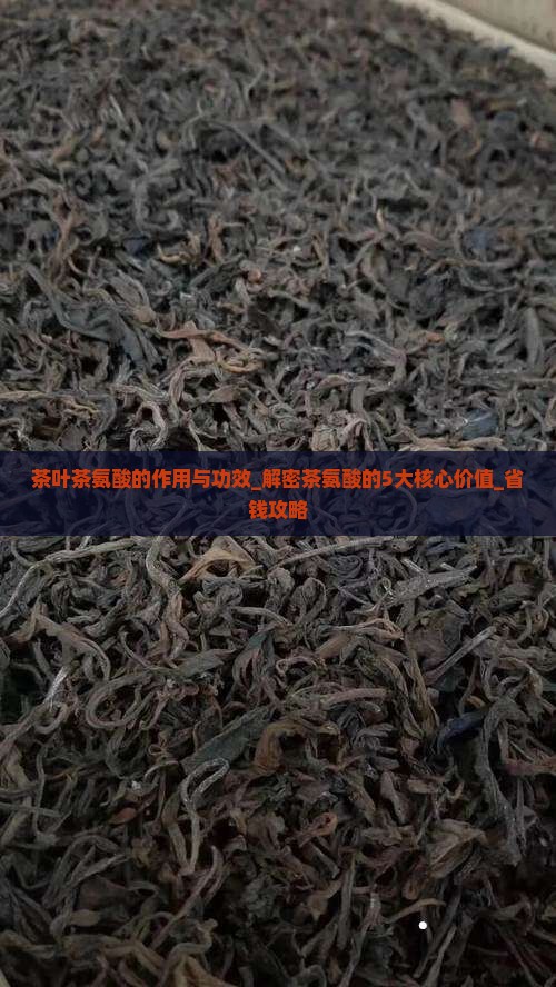 茶叶茶氨酸的作用与功效