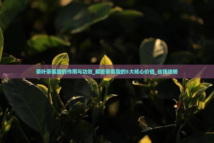 茶叶茶氨酸的作用与功效