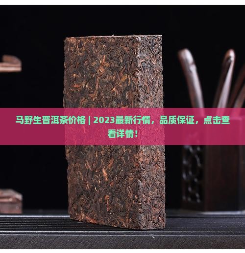 马队长野生普洱茶价格