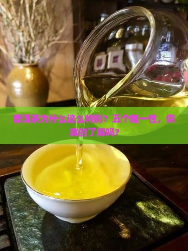 普洱茶的世界五个唯一性