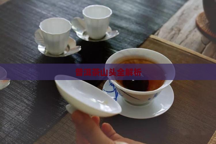 普洱茶15山头介绍
