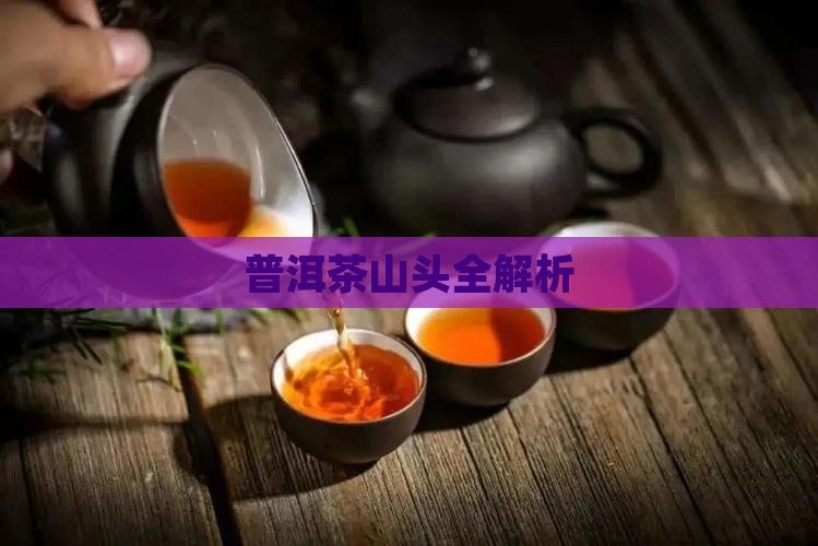 普洱茶15山头介绍