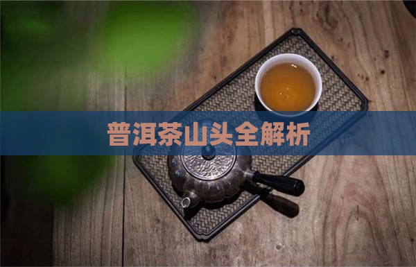 普洱茶15山头介绍