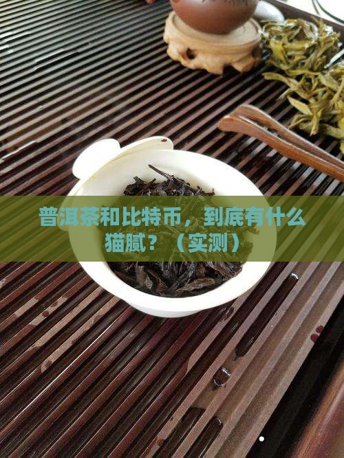 普洱茶与比特币的关系