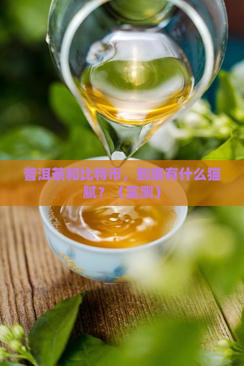 普洱茶与比特币的关系