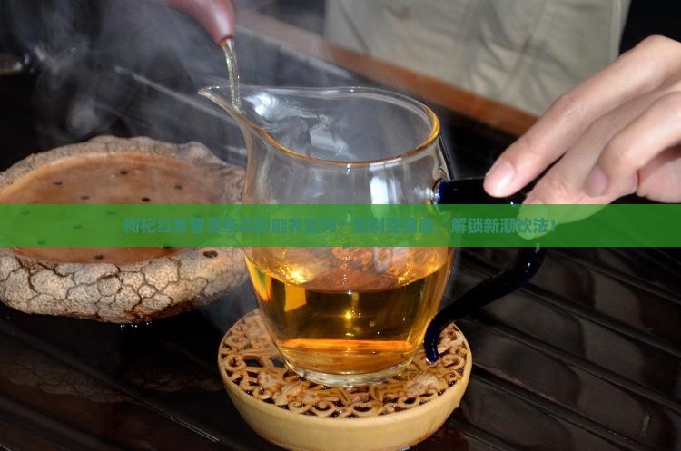 枸杞红枣普洱茶的研究