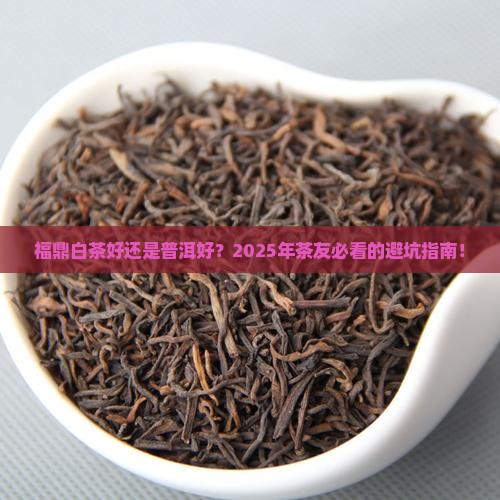 福鼎白茶好还是普洱好 福鼎白茶好还是普洱好