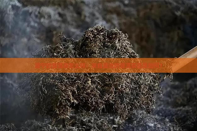 澜宁的普洱茶怎么样
