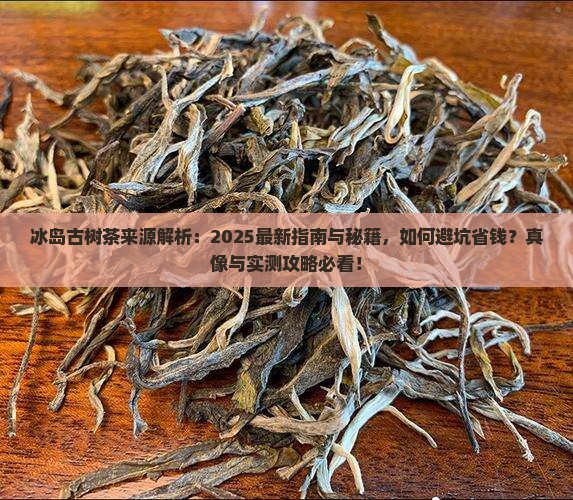 冰岛古树茶来源