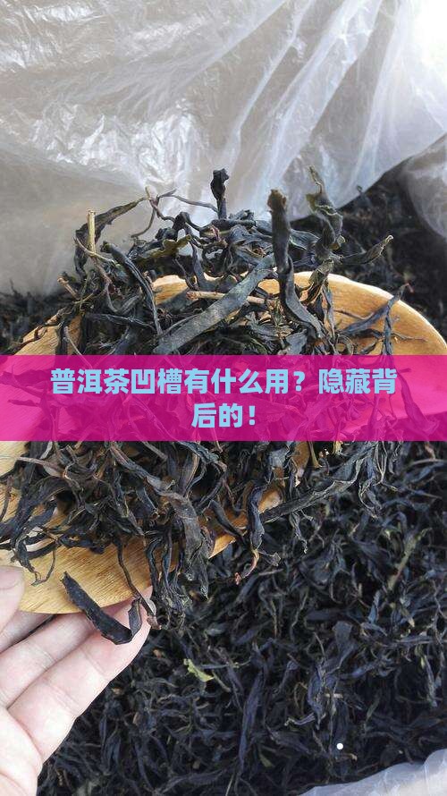 普洱茶背面凹槽