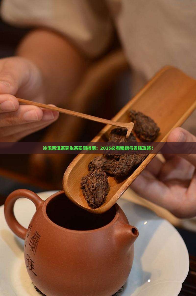冷泡普洱茶养生茶