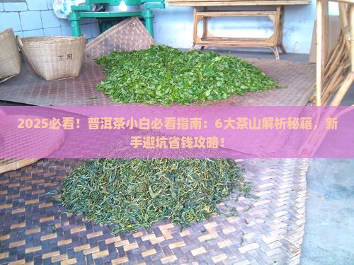 普洱七大茶山普洱6大茶山