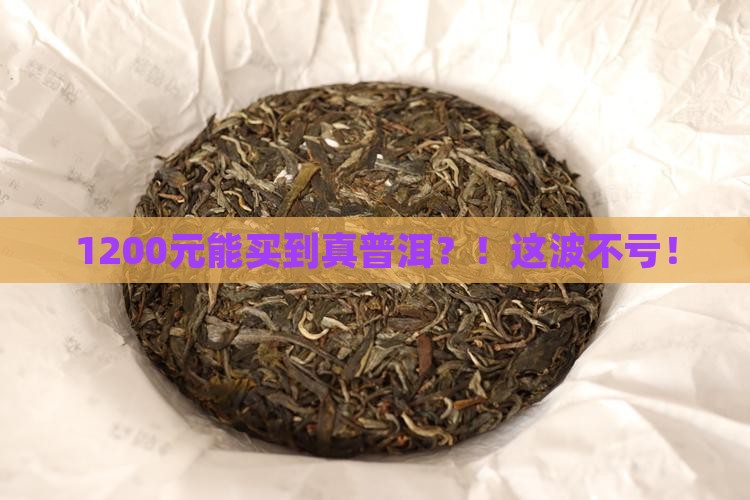 1200普洱茶
