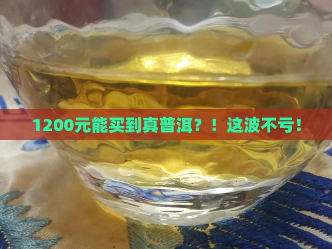 1200普洱茶