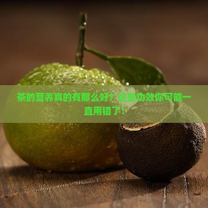 简述茶的营养及功效