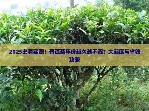 普洱茶年份越久越不涩吗