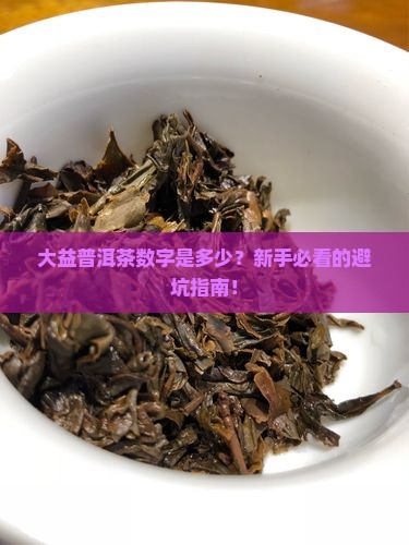 大益普洱茶数字是什么