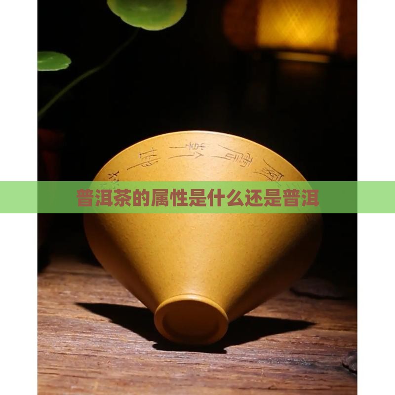 普洱茶的属性是什么