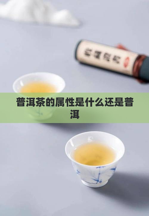 普洱茶的属性是什么