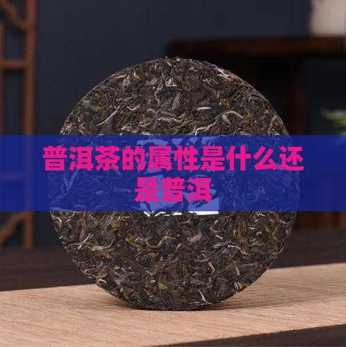 普洱茶的属性是什么
