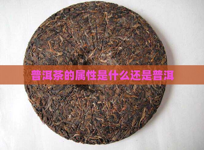 普洱茶的属性是什么